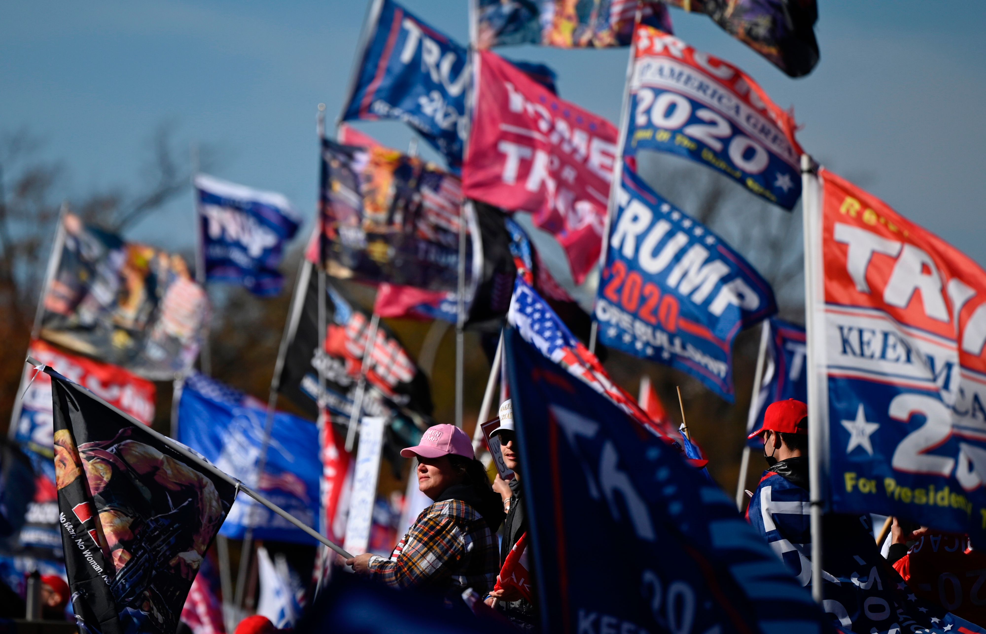 Supporters of US President Donald Trump march during a rally in Washington, DC, on November 14, 2020. 8V87GY.jpg