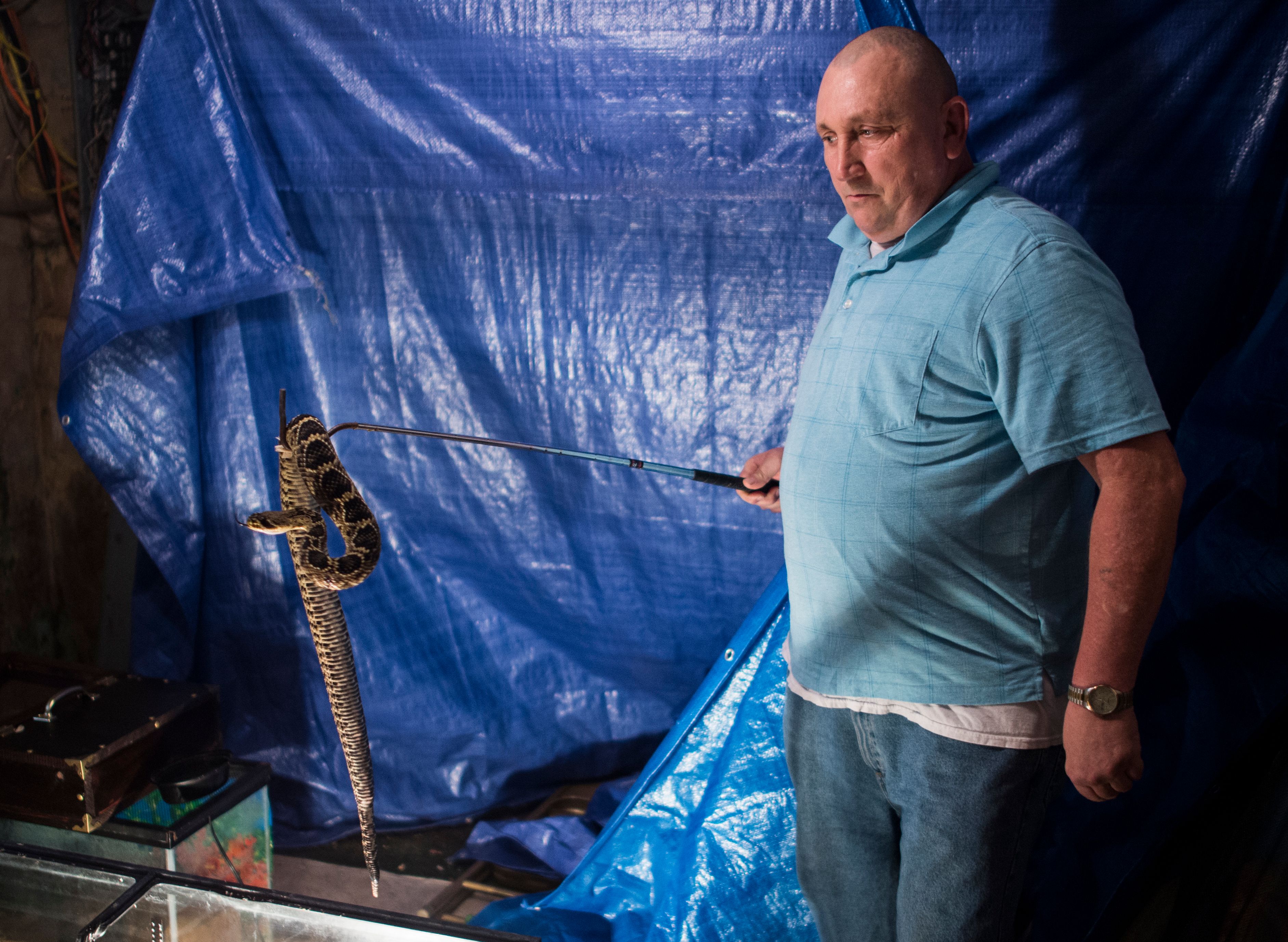 Pastor Chris Wolford checks on a timber rattlesnake before a Pentecostal serpent handlers service at the House of the Lord Jesus church ACR_9224 copy.jpg