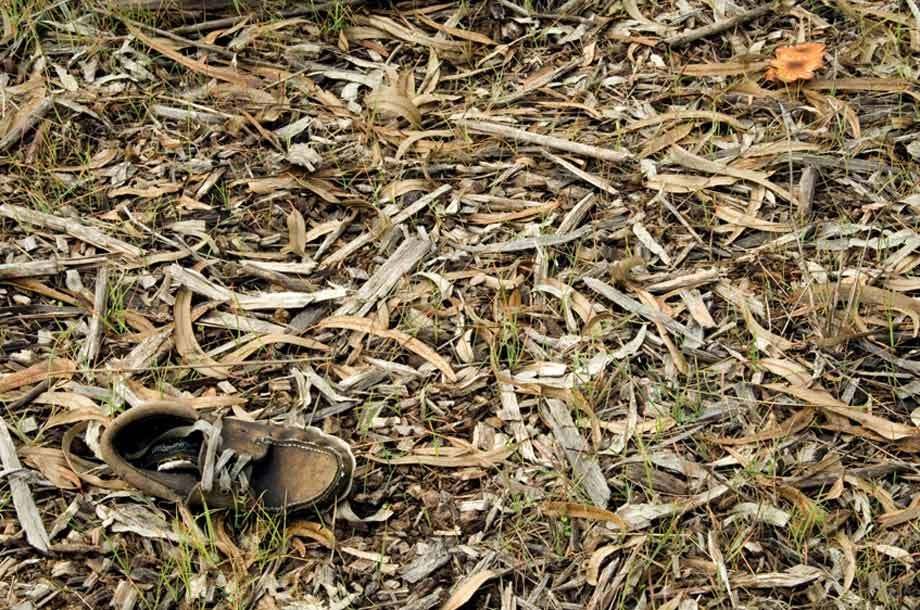 1r115802522_lost_shoe_0494