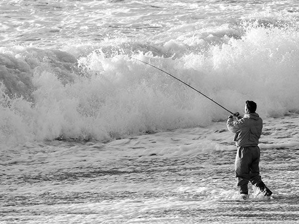 1love_of_the_sport_website