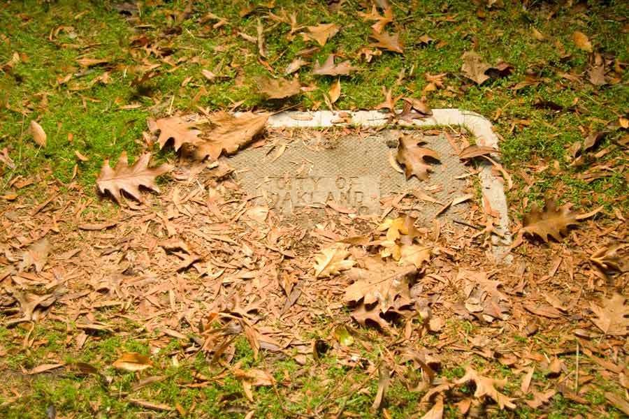 1Duranteau_Midpoint01