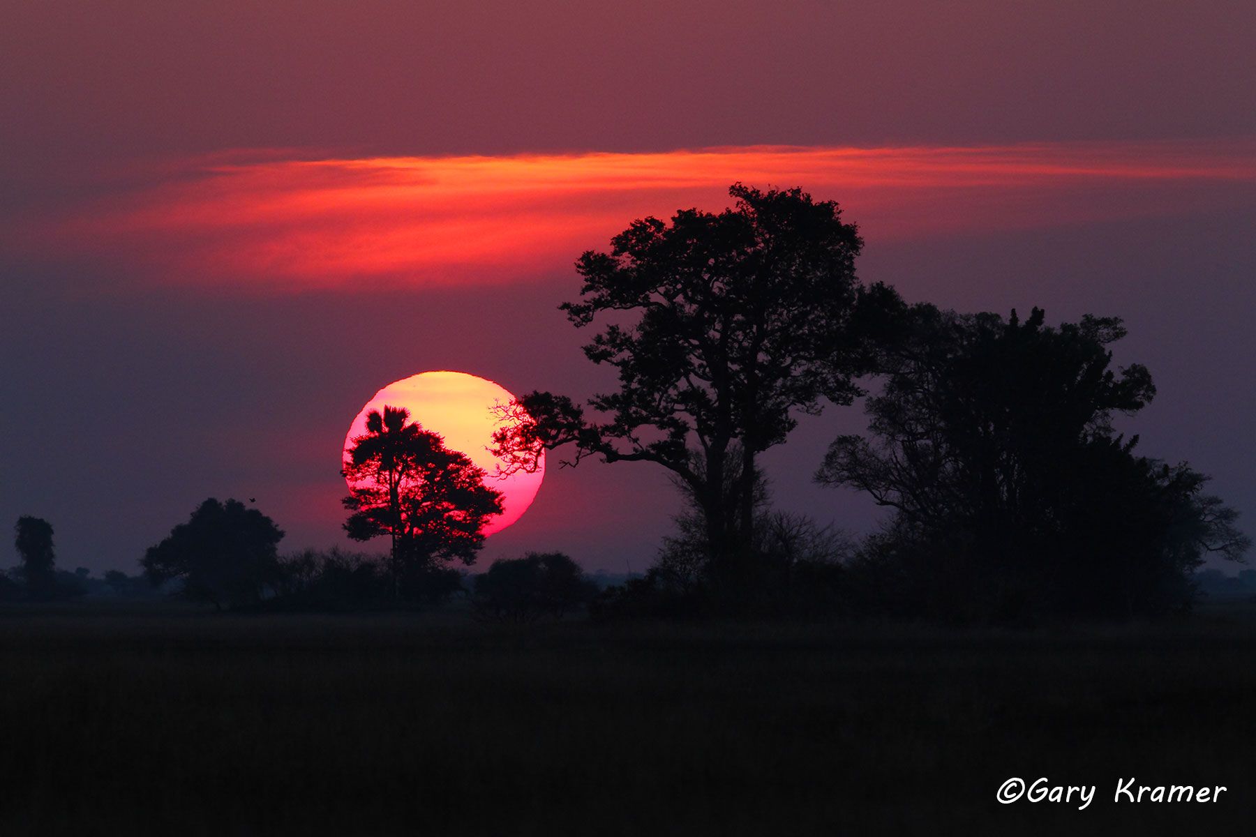 African sunrise/sunset, Kafue NP, Zambia - ASSK#016d.jpg