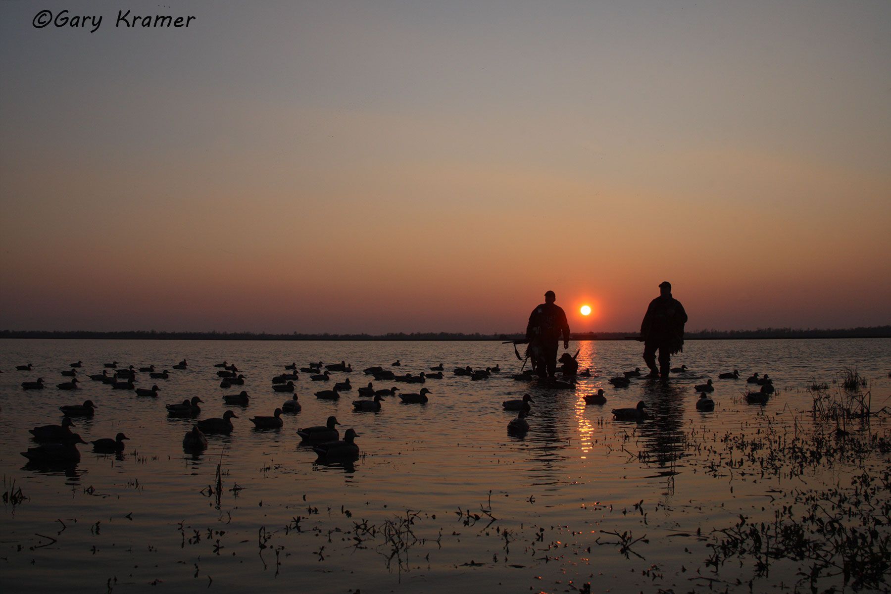 Duck hunter(s) and Labrador Retriever at sunrise/sunset - NHDsl#034d