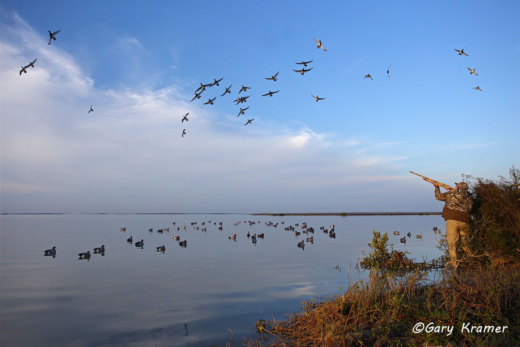 Hunter(s) shooting at ducks over decoys - NHDad#662d