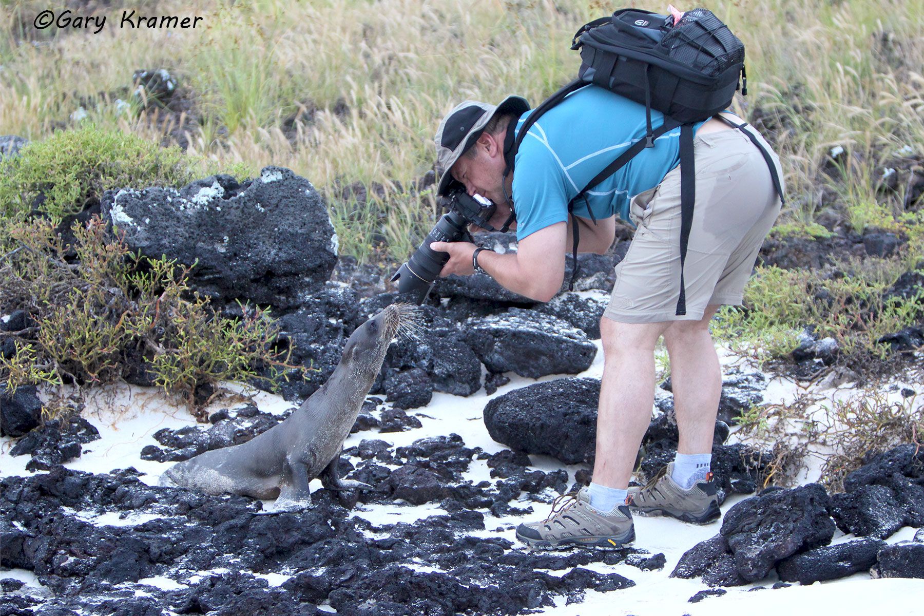 Client photographing Galapagos Sea Lion pup, Galapagos, Ecuador - SPge#001d.jpg