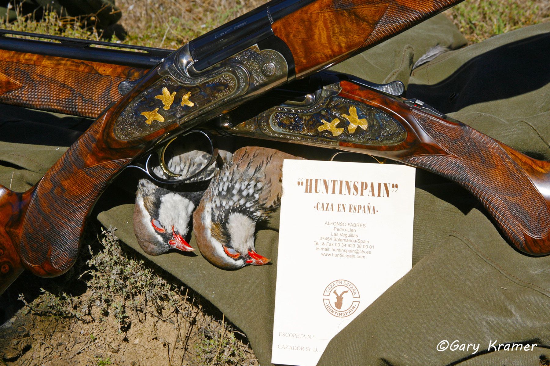 Red-legged Partridge in the bag, Spain Red-legged Partridge in the bag, Spain - EHPab#116d