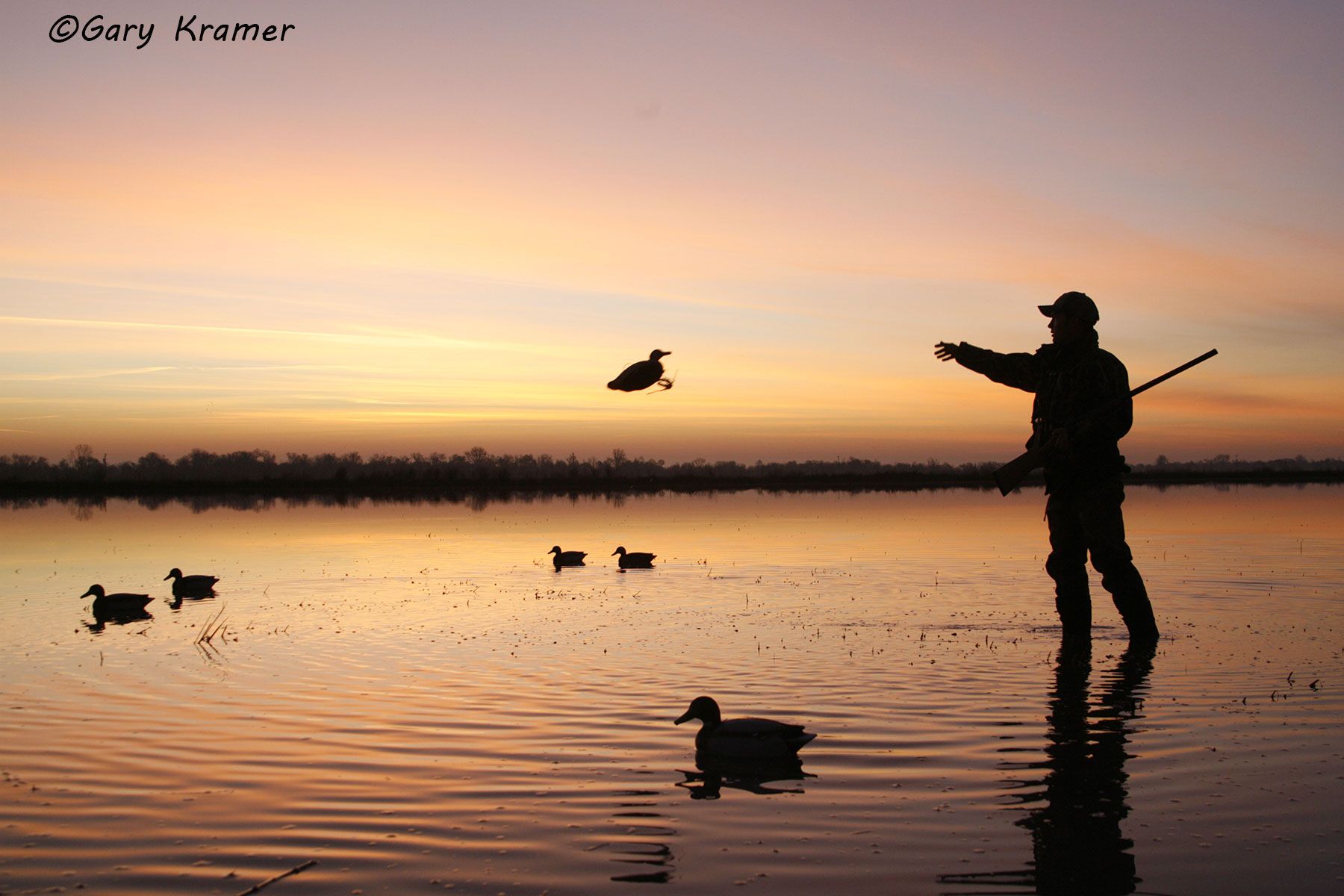 Duck hunter setting out decoys at dawn - NHDsd#110d