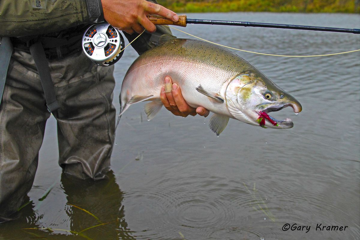 North America Freshwater - Gary Kramer Photographer / Writer