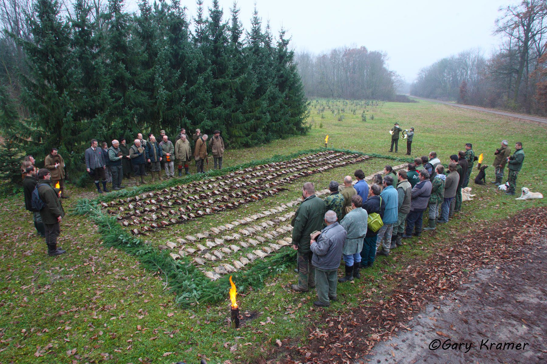 Driven Pheasant - game parade, Eastern Europe Driven Pheasant - game parade, Sloviaka - EHEqp#049d
