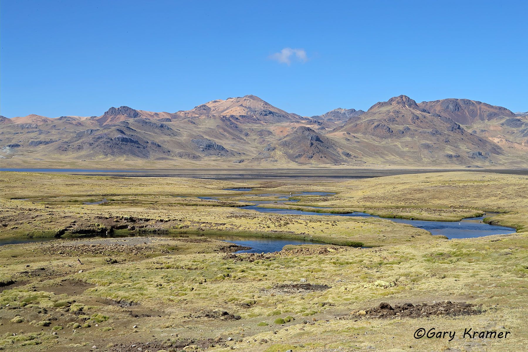 Puna grasslands/wetlands, Andes, Peru Puna grasslands/wetlands, Andes, Peru - STPgw#006d