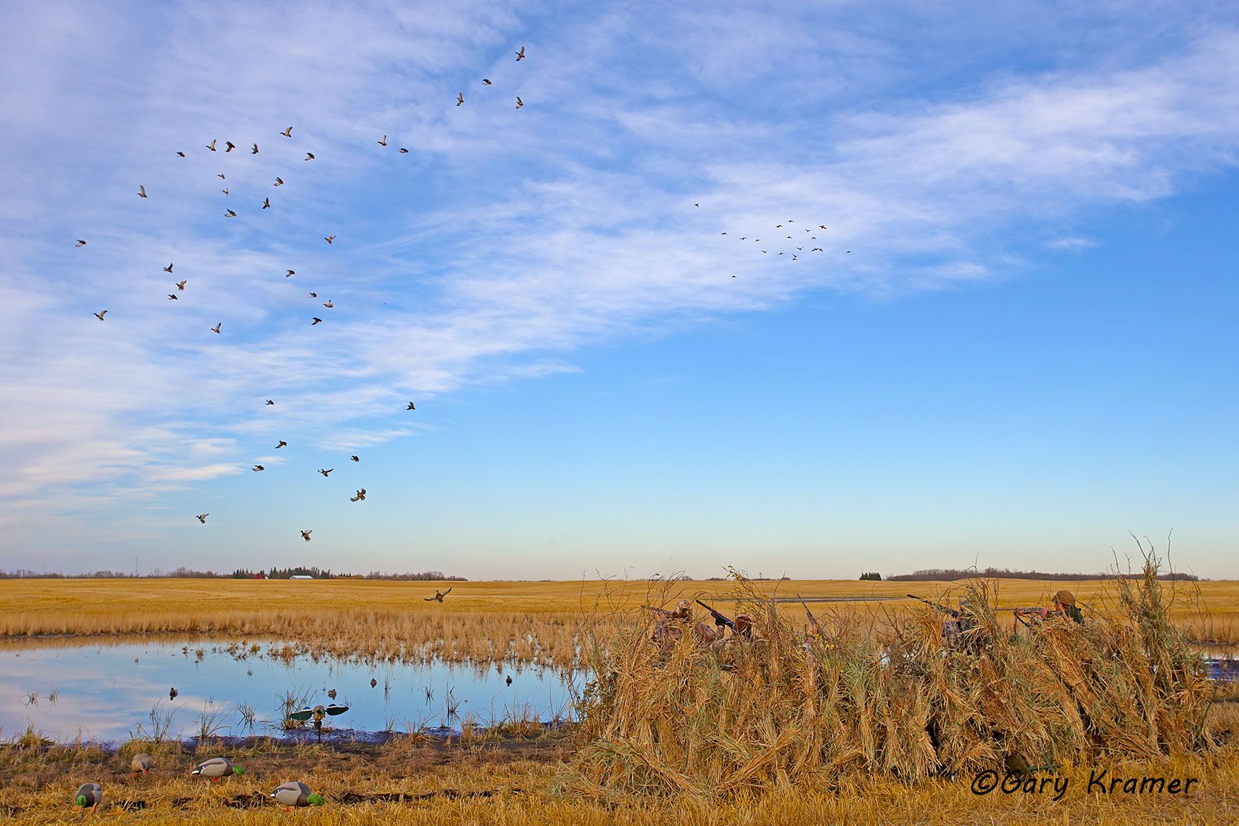 Hunter(s) shooting at ducks over decoys - NHDad#415d