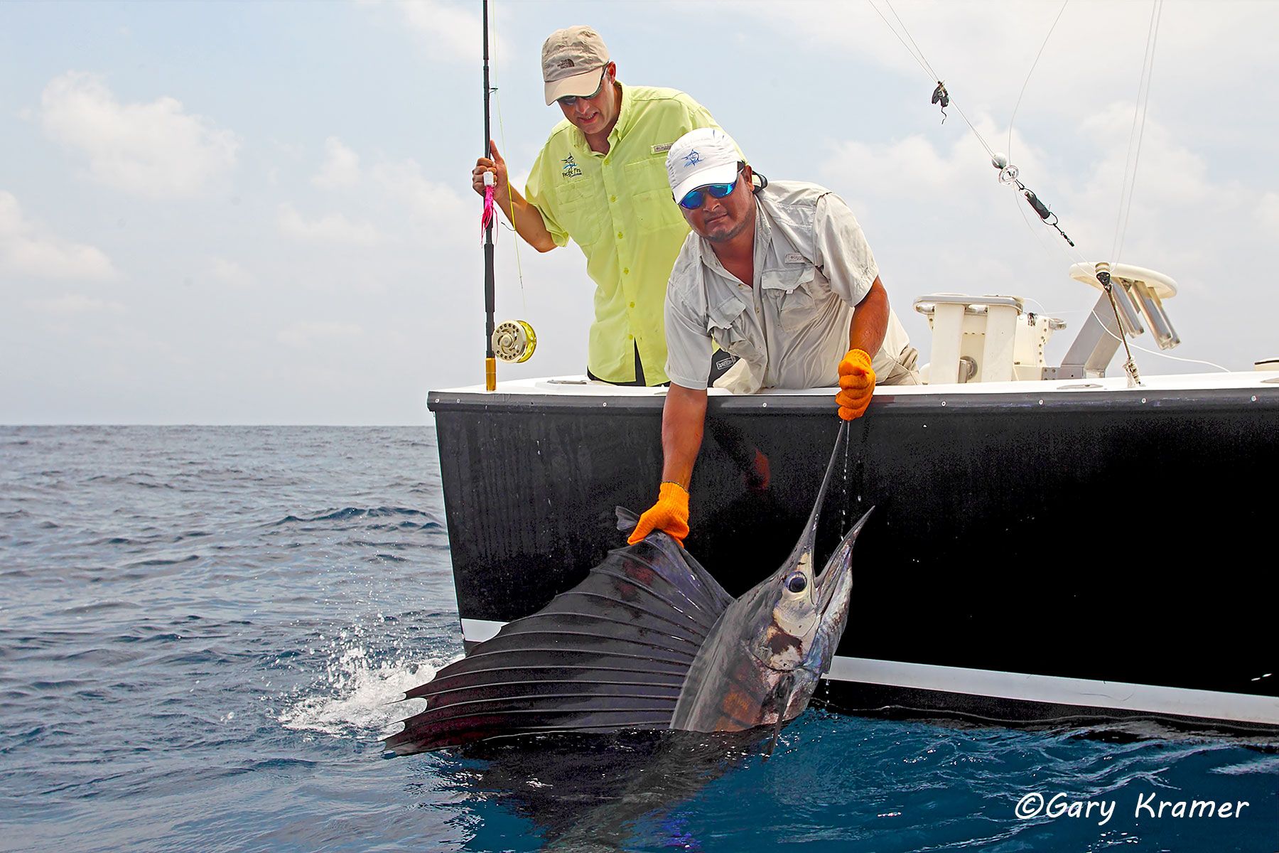 Flyfisherman looks on while mate releases Sailfish, Guatemala - NFSmrs#002d