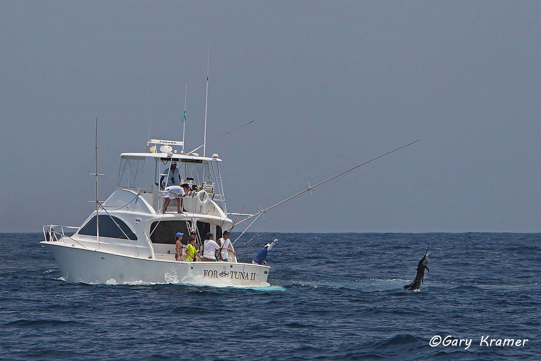 Cabin Cruiser/offshore w/hooked Sailfish, Guatemala - NFChs#001d