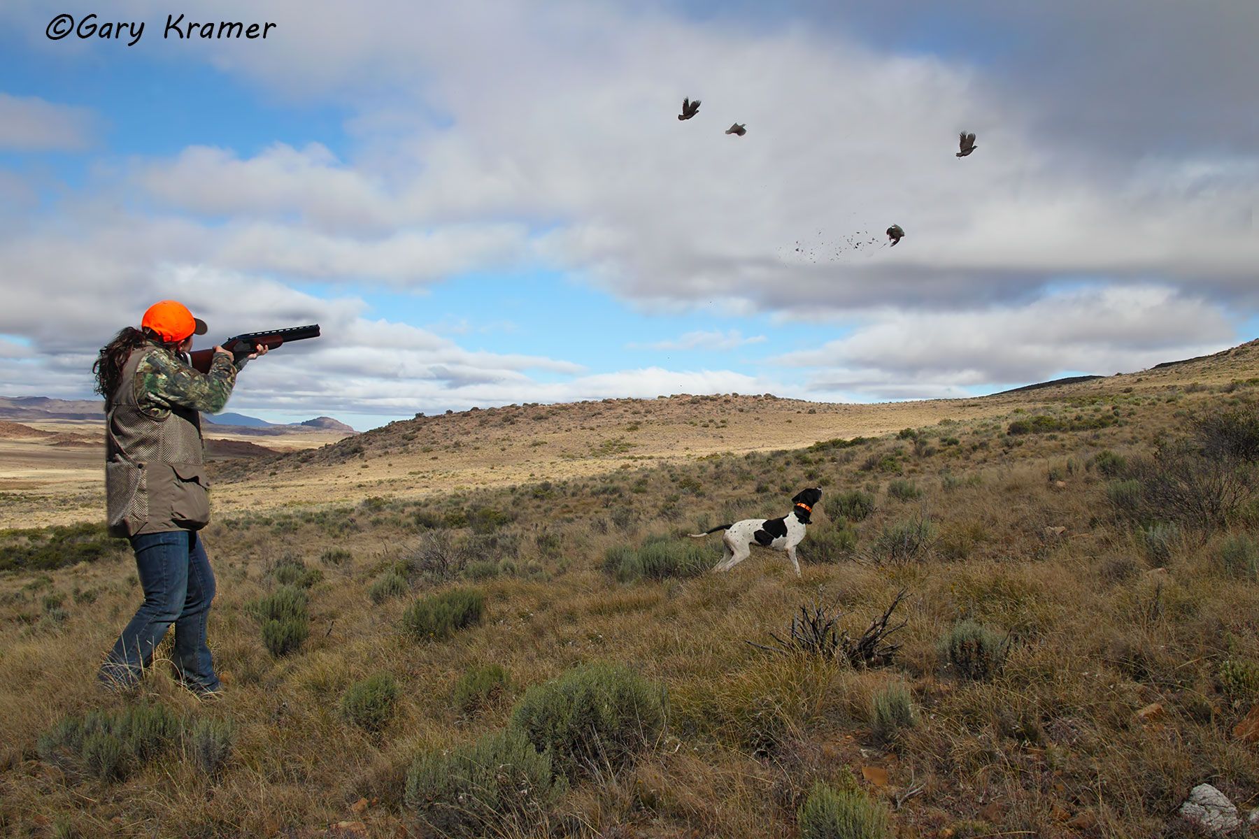 Hunter(s) w/Pointer(s) & Grey-winged Francolin Hunter w/Pointer & Grey-winged Francolin, South Africa - HDPgf#005d(a)