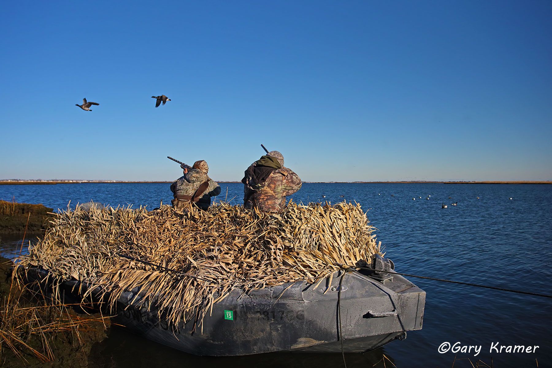 Boat hunter(s) shooting at Atlantic Brant over decoys - NHBabb#059d