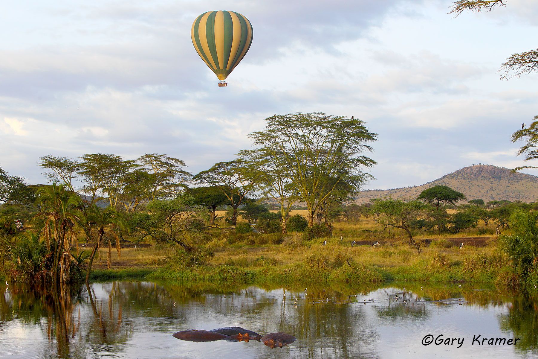 Hot air balloon over Seronera Valley, Tanzania Hot air balloon over Seronera Valley, Tanzania - ASThs#001d
