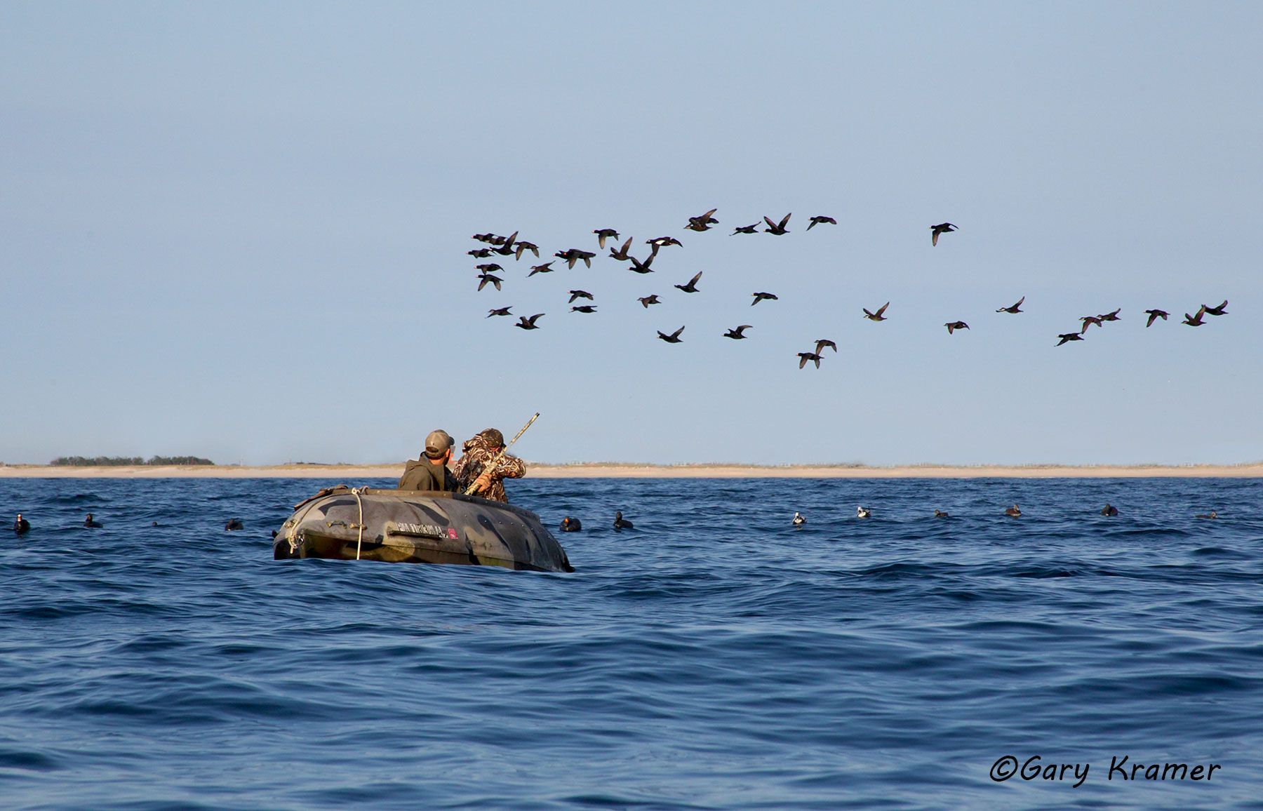 Hunter(s) in boat shooting at Scoters over decoys - NHDbsd#003(A)