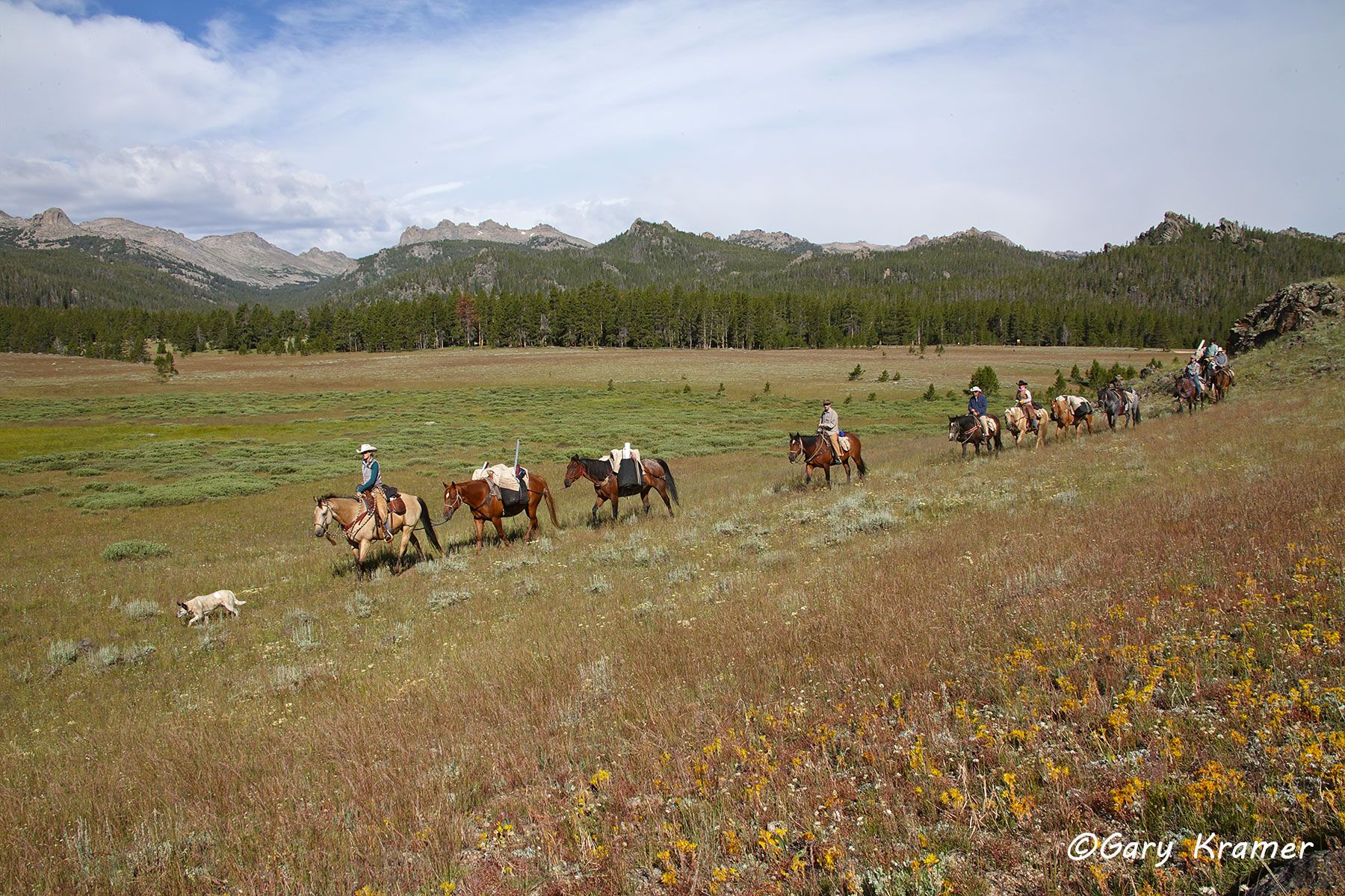 Horse pack train, Rocky Mountains Horse pack train, Wyoming - NSRMh#065d