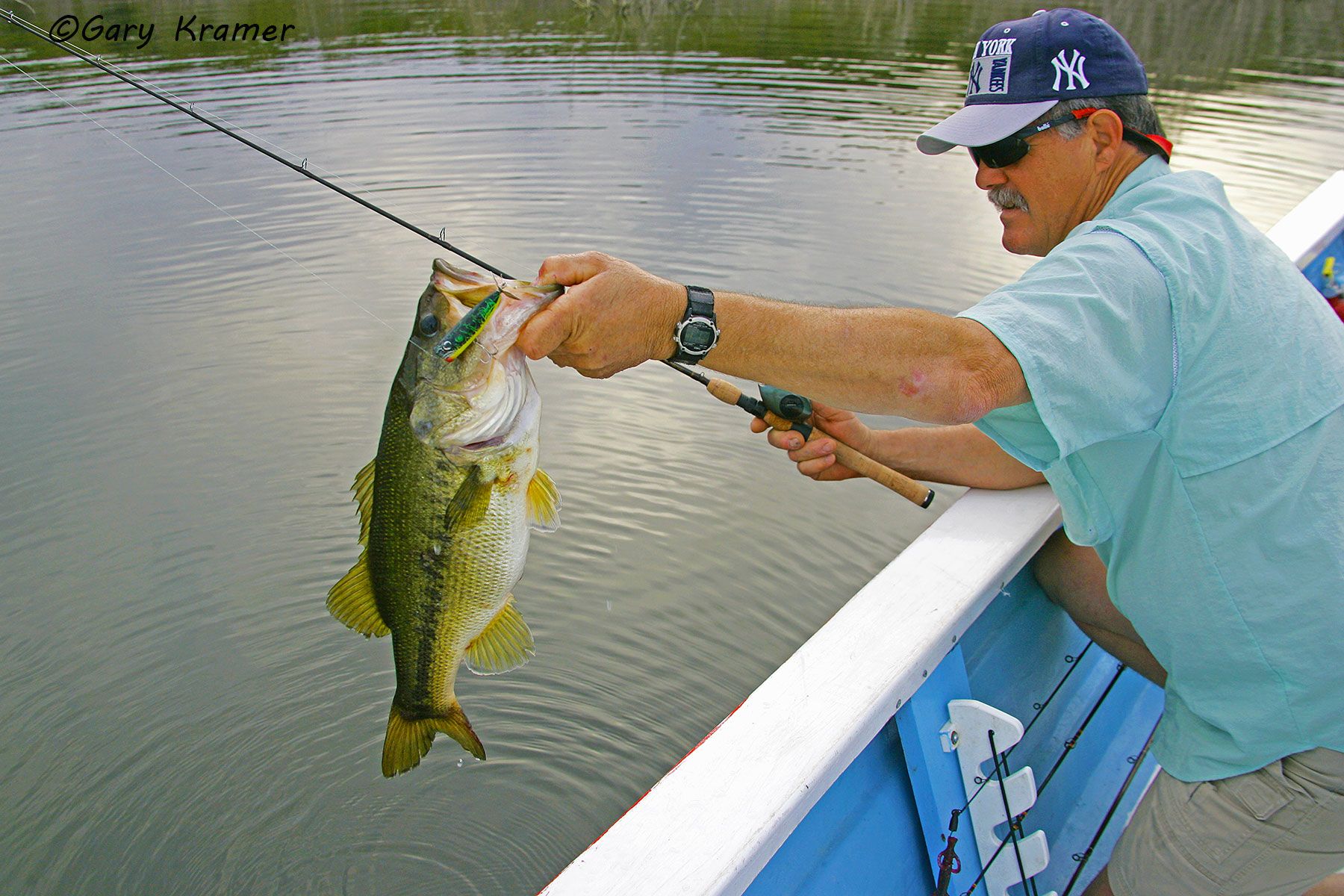 Angler (Vince Bruccolieri) landing a Largemouth Bass - NFBa#103d