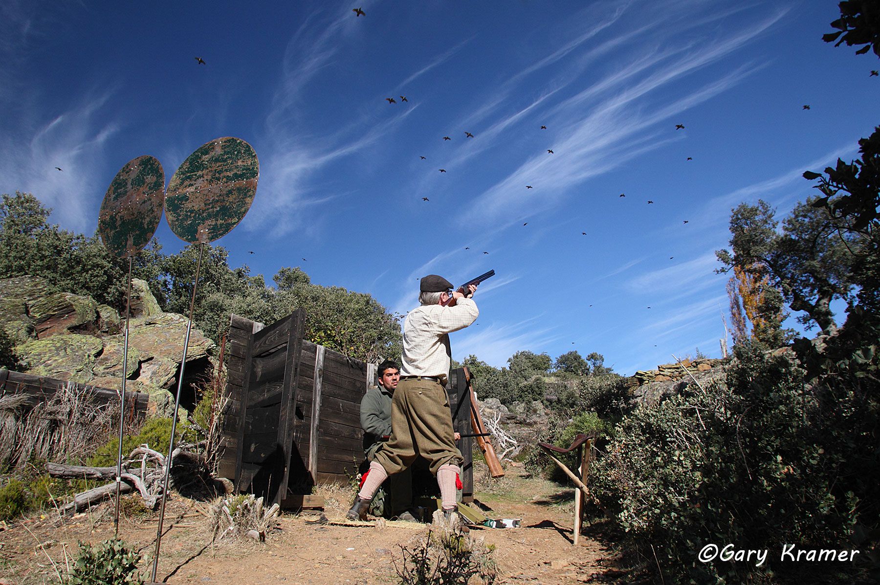 Driven Red-legged Partridge - shooters/loaders with birds over the line, Spain Driven Red-legged Partridge - shooters/loaders with birds over the line, Spain - EHPaa#233d