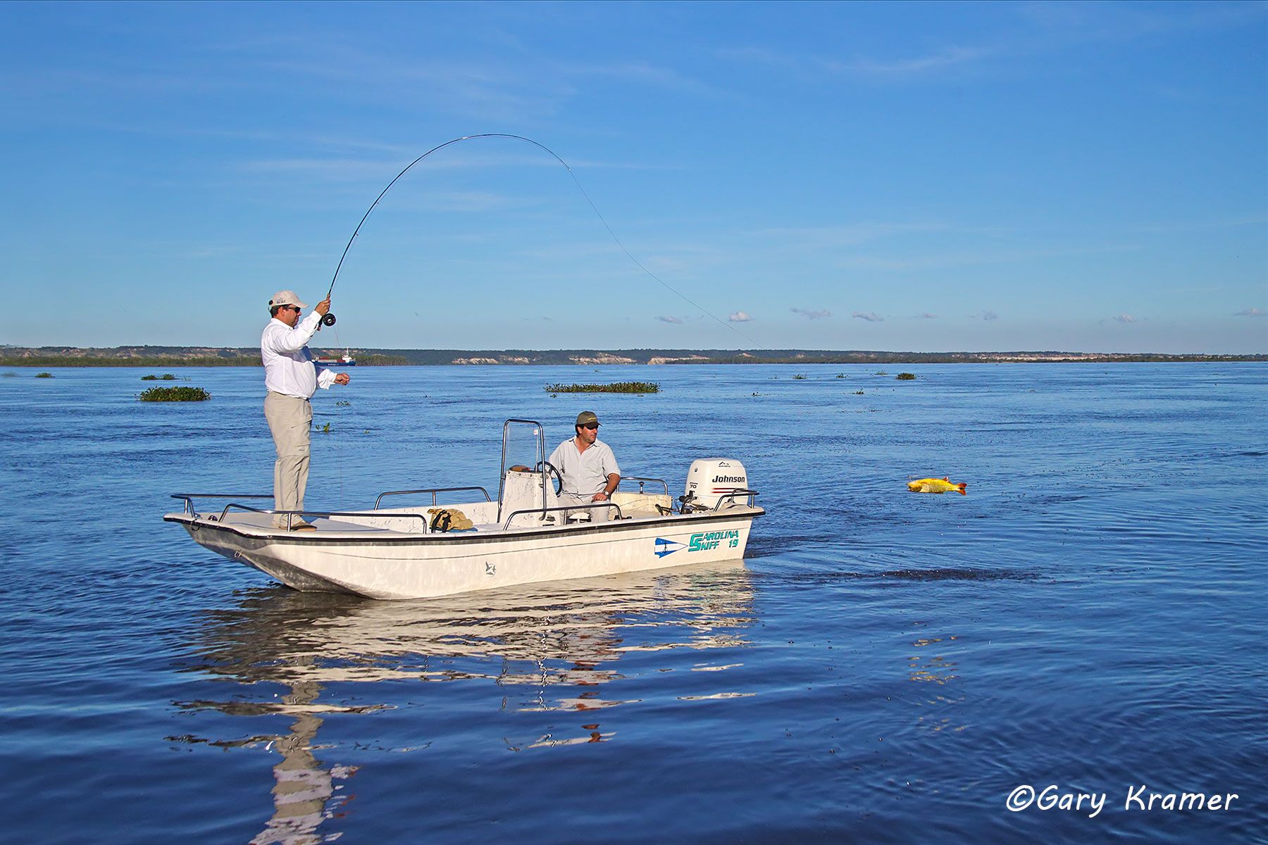 Fly fisherman w/guide fighting Golden Dorado Flyfisherman w/guide fighting Golden Dorado, Argentina - SFDfgf#011d