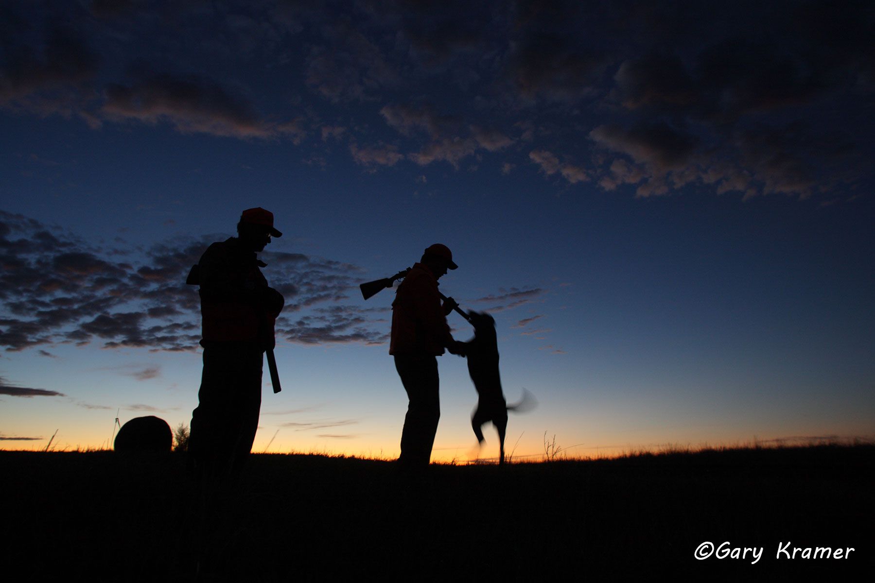 Upland bird hunter(s) with Labrador at sunrise/sunset Upland bird hunter(s) with Labrador at sunrise/sunset - NHUls#013d
