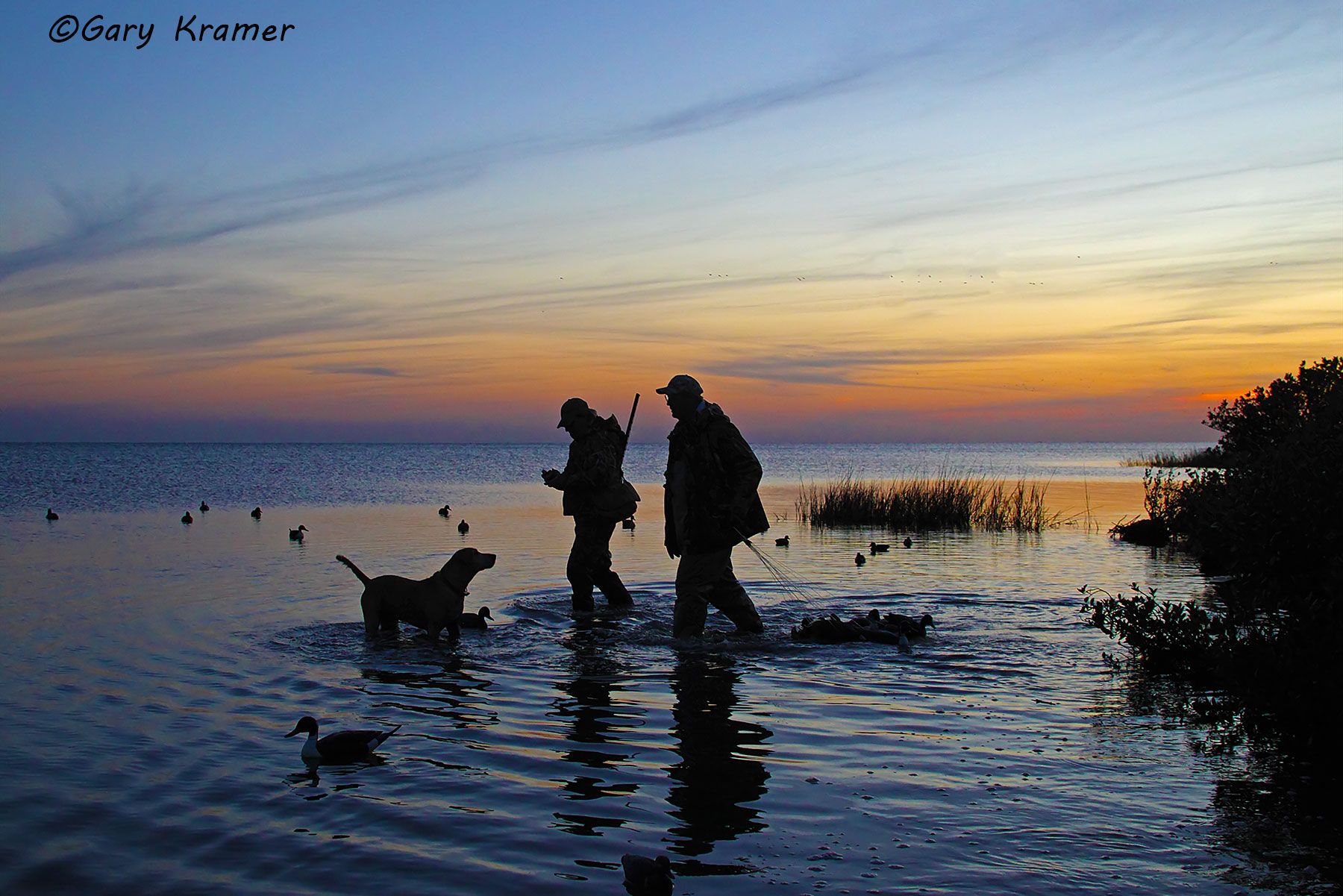 Duck hunter(s) and Labrador at sunrise/sunset - NHDsl#080d