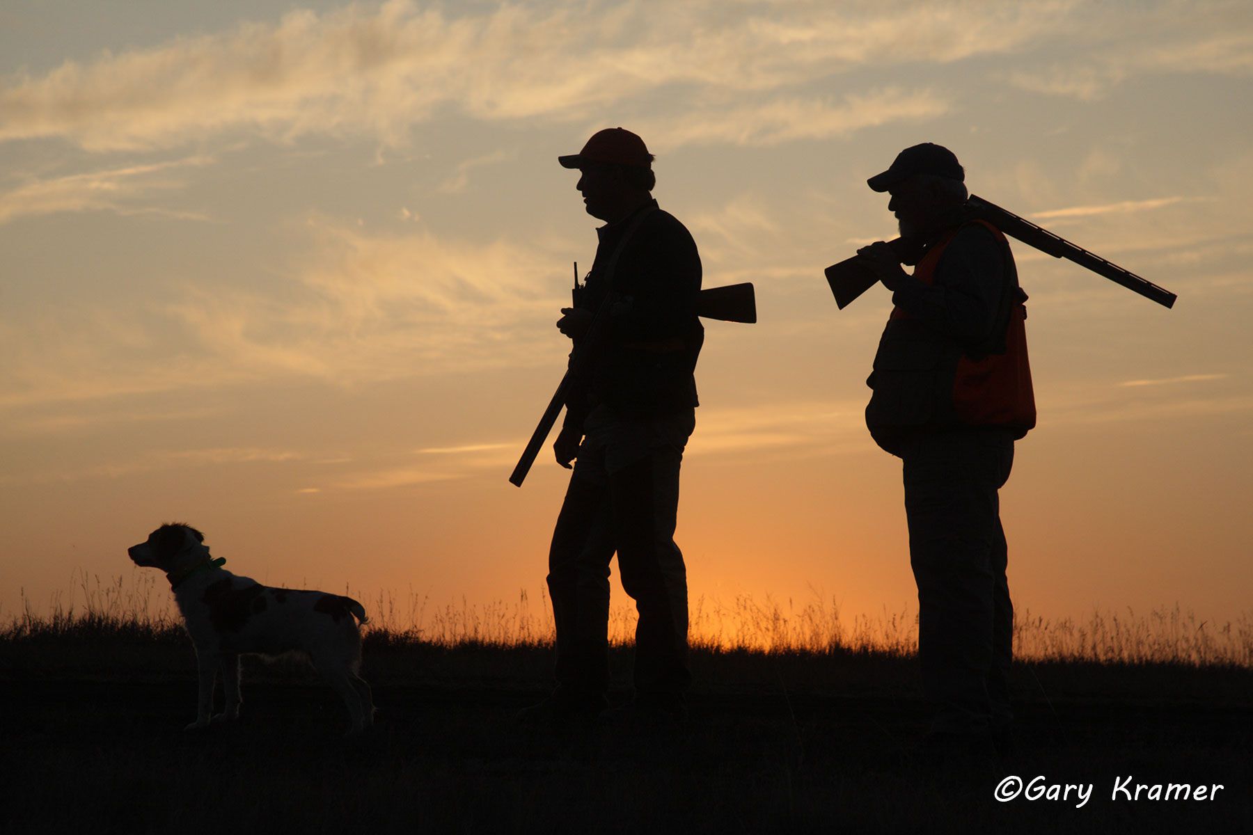 Upland bird hunter(s) with Brittany at sunrise/sunset Upland bird hunter(s) with Brittany at sunrise/sunset - NHUbs#014d