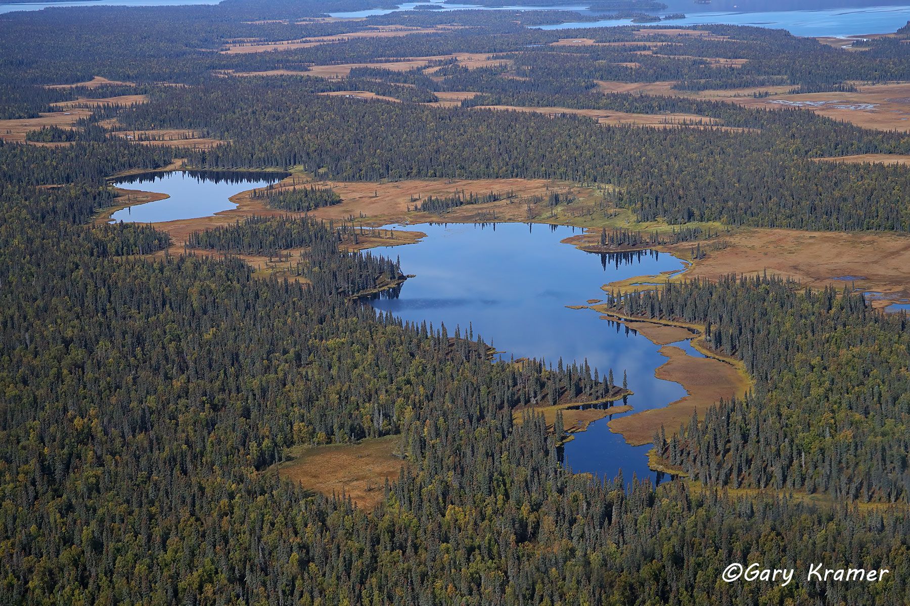 Boreal Forest/Lakes, Alaska Boreal Forest/Lakes (aerial), Alaska - NFABFl#021d