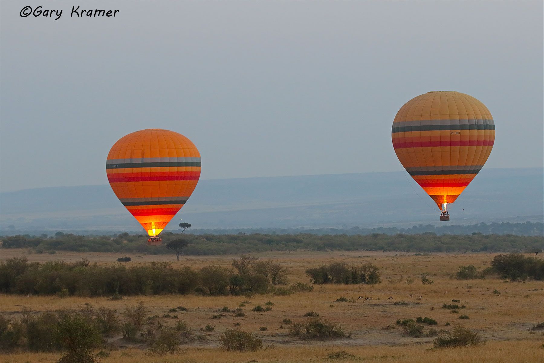 Hot air balloon(s) over Maasai Mara National Reserve, Kenya Hot air balloon(s) over Maasai Mara National Reserve, Kenya - ASTb#015d