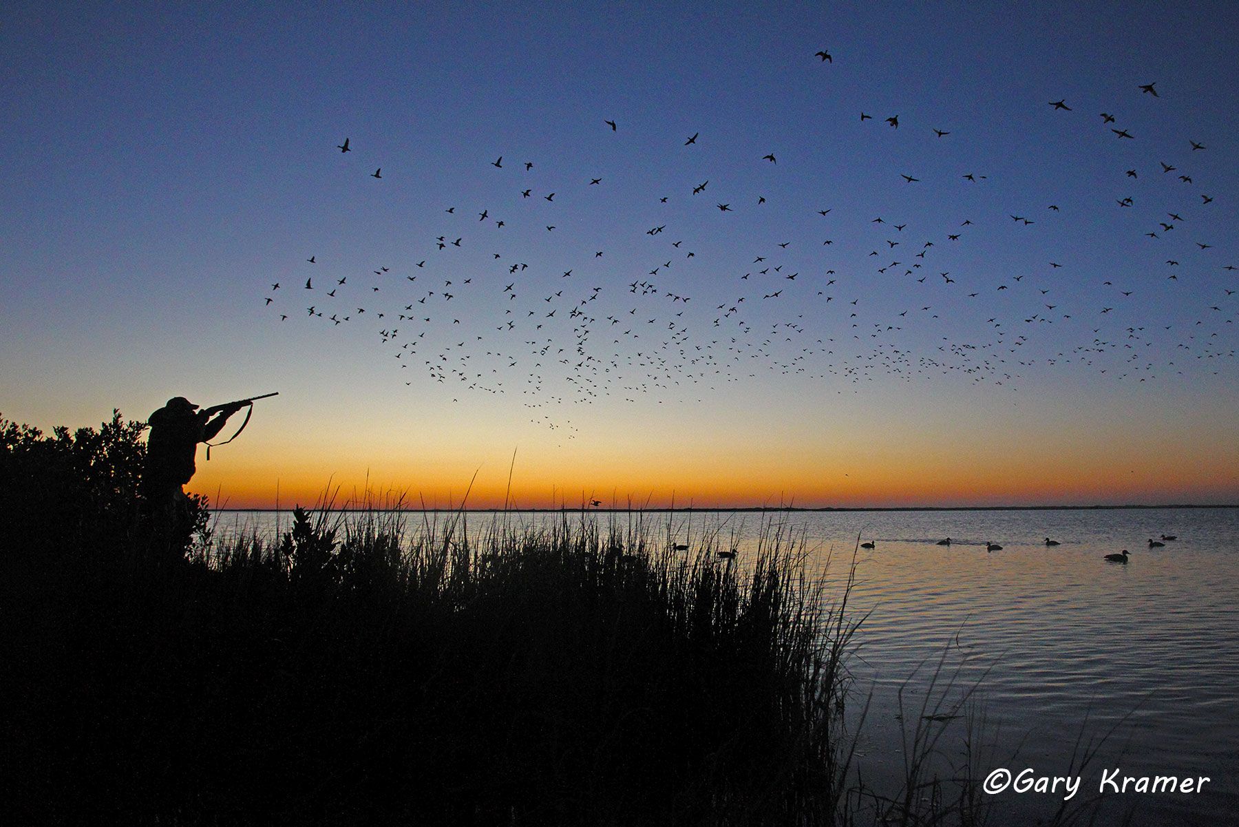 Hunter at sunrise/sunset shooting at ducks over decoys - NHDsdd#370d