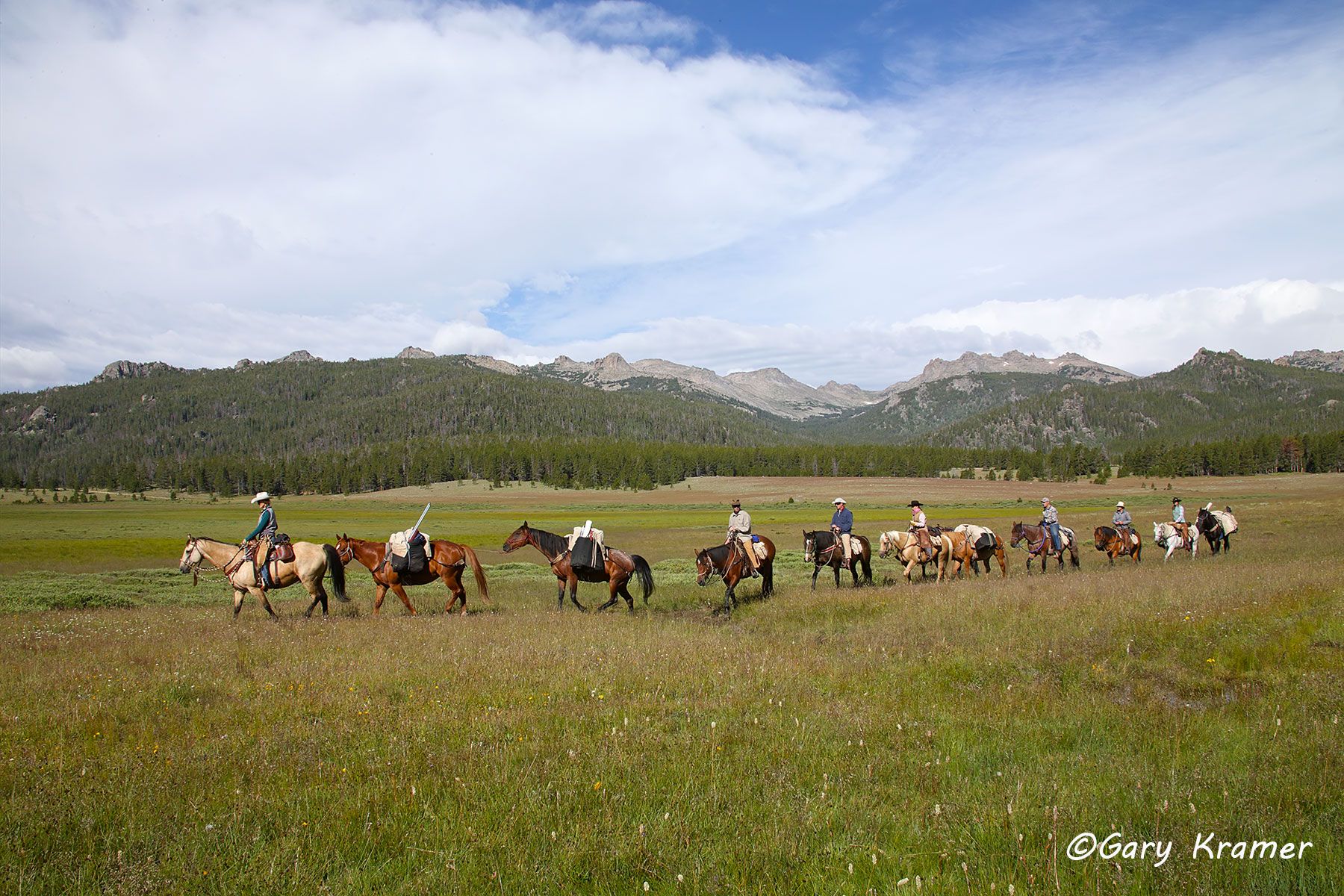 Horse pack train, Rocky Mountains Horse pack train, Wyoming - NSRMh#108d