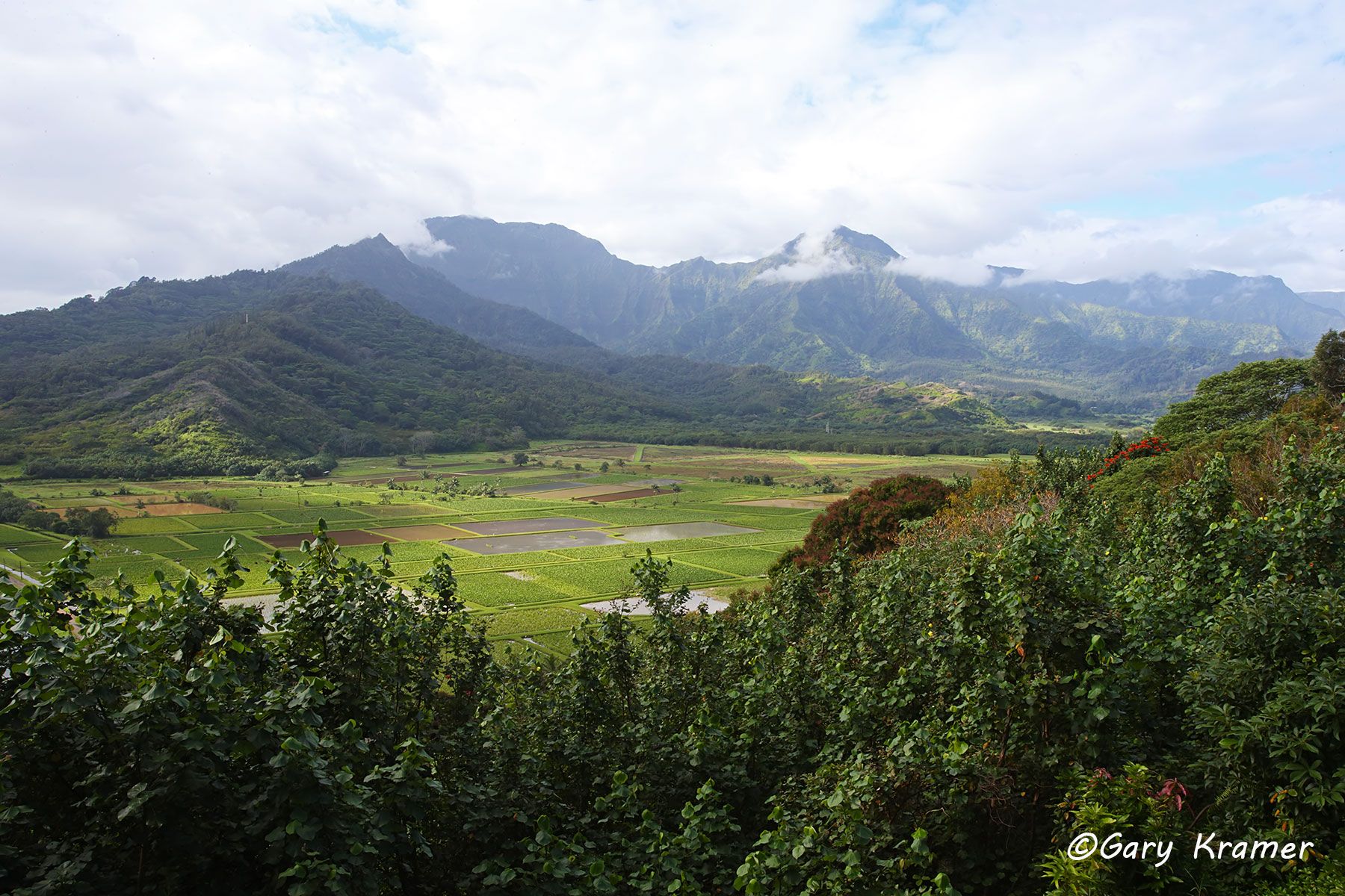 Hanalei National Wildlife Refuge, Hanalei, Kauai, Hawaii Hanalei National Wildlife Refuge,  Kauai, Hawaii - RSHa#055d