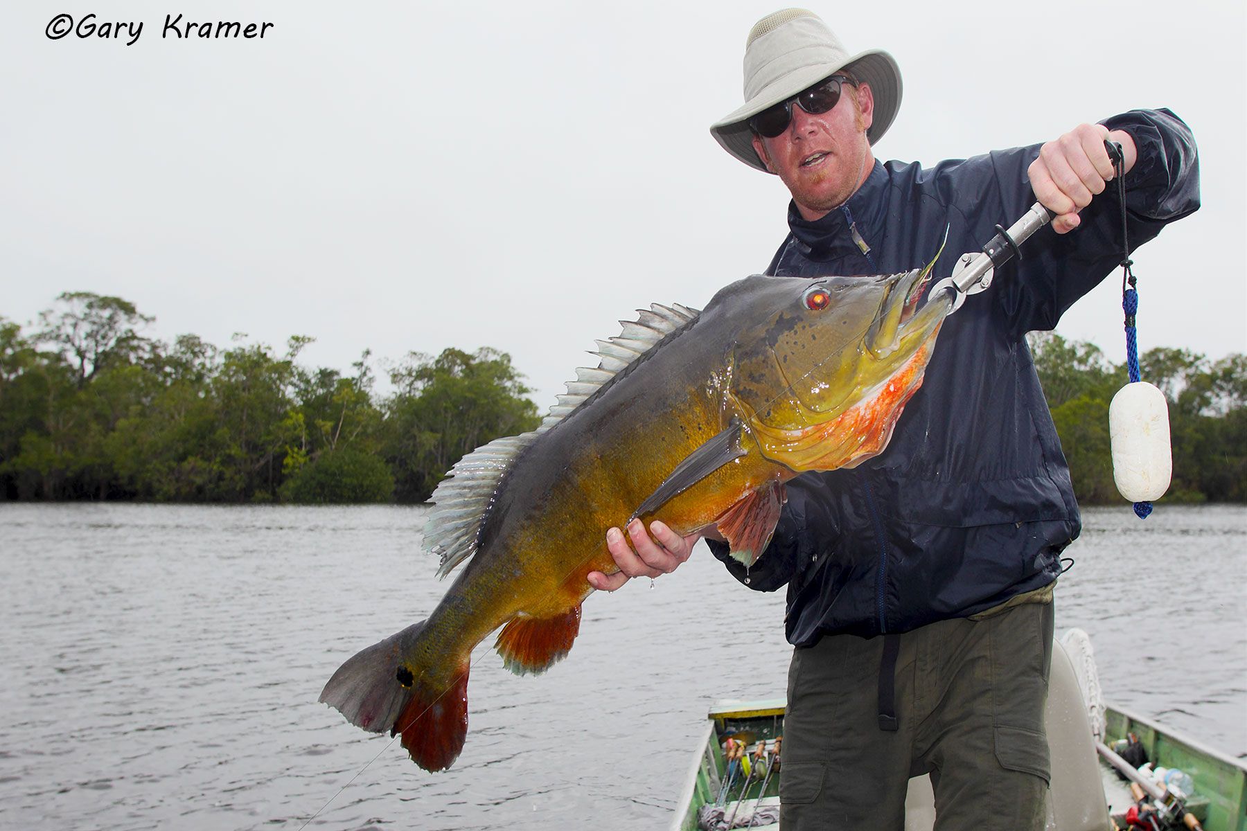 Angler (David Gundy) w/ Peacock Bass Angler (David Gundy) w/ Peacock Bass, Brazil - SFPw#015d