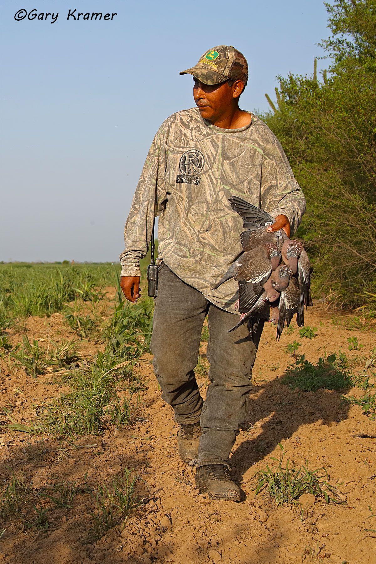Bird boy w/Pigeons, Bolivia Bird boy w/Pigeons, Bolivia - SHPbx#025d(2)