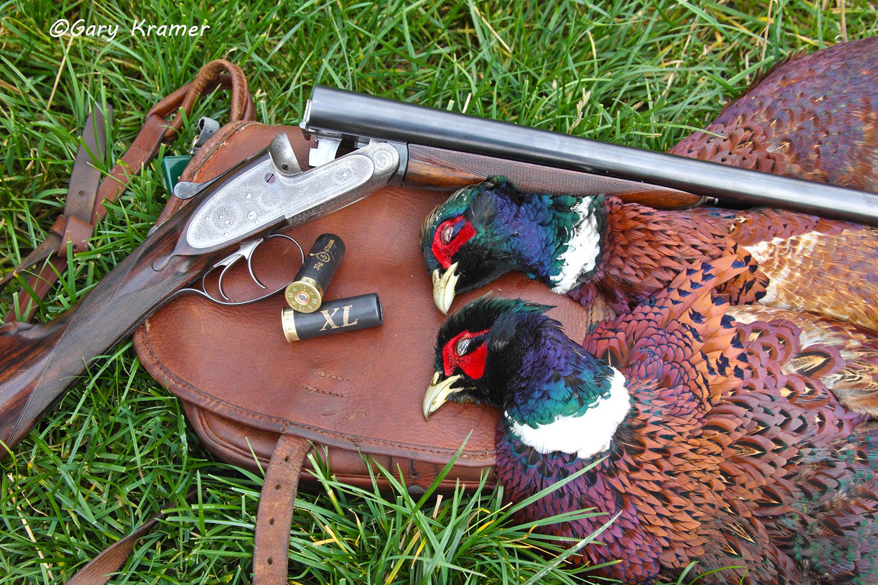 Pheasants in the bag, UK Pheasants in the bag, Scotland - EHHpb#009d