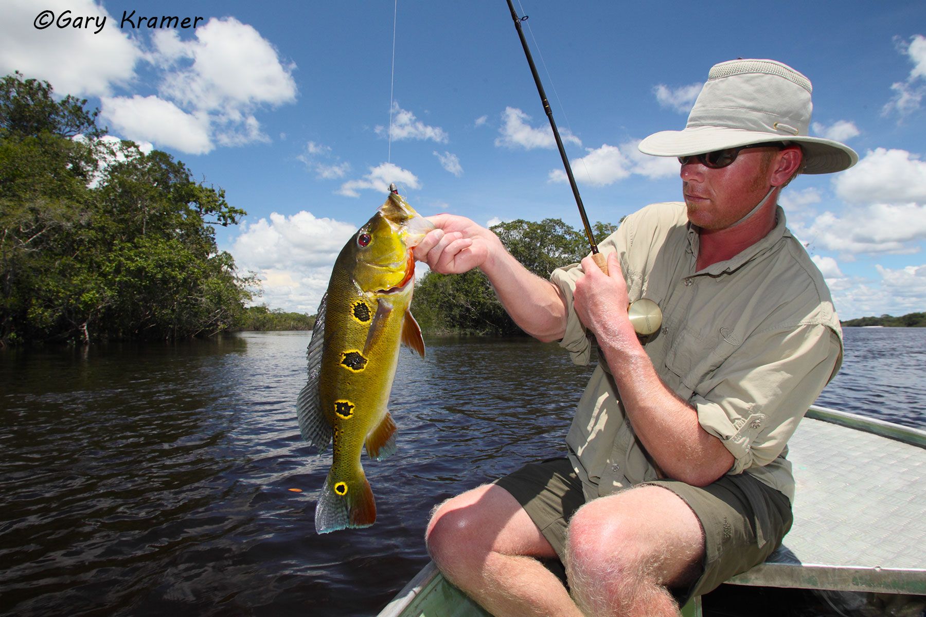 Angler (David Gundy) w/ Peacock Bass Angler (David Gundy) w/ Peacock Bass, Brazil - SFPw#009d