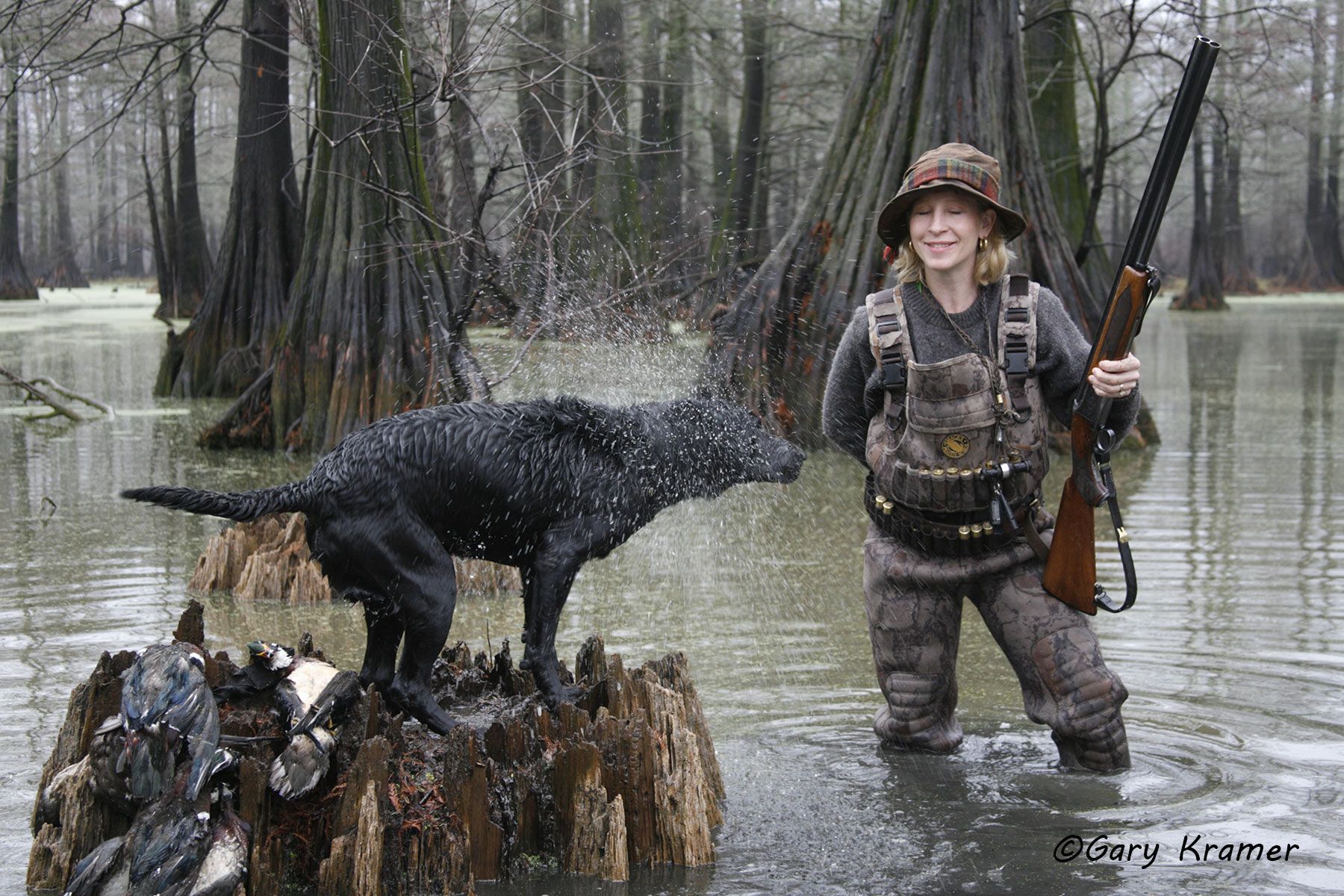 Labrador shaking with female duck hunter - NHDlsf#002d