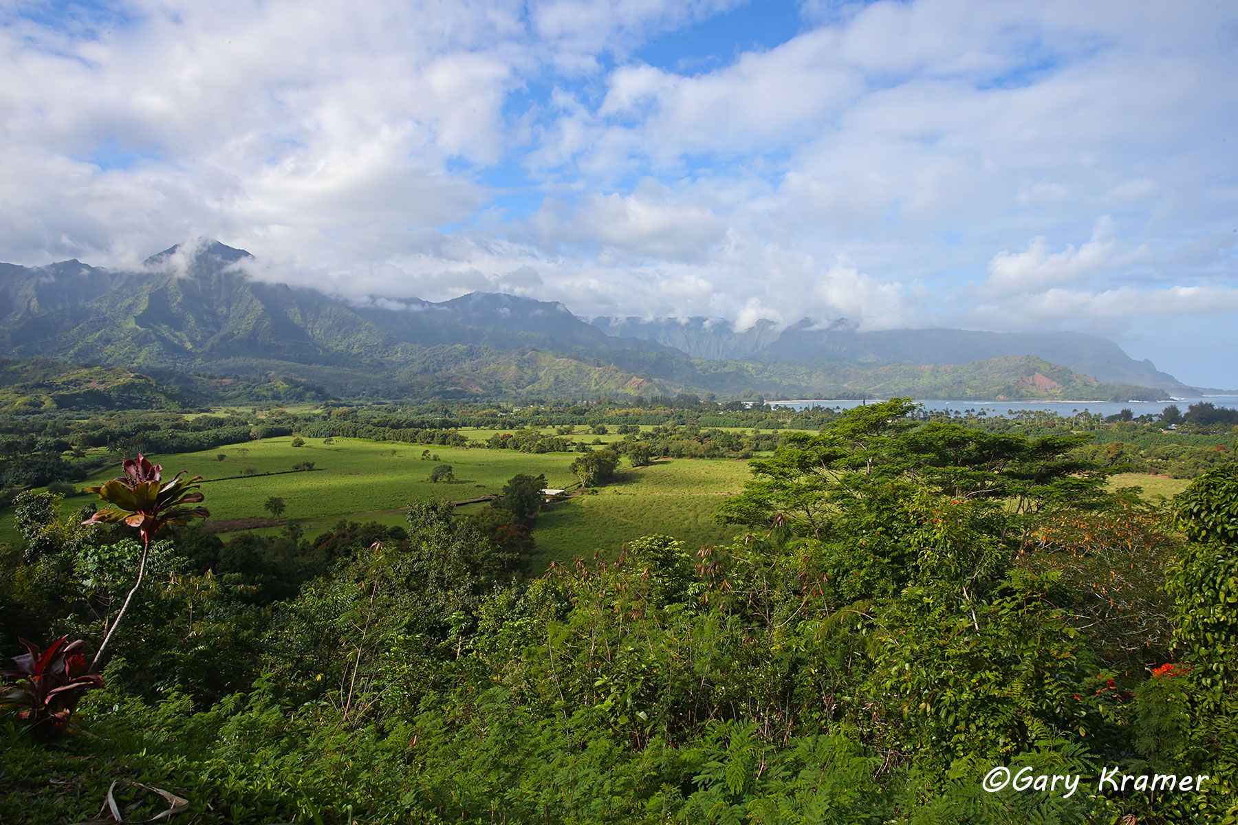 Hanalei Valley, Kauai, Hawaii Hanalei Valley, Kauai, Hawaii - NSHv#014d