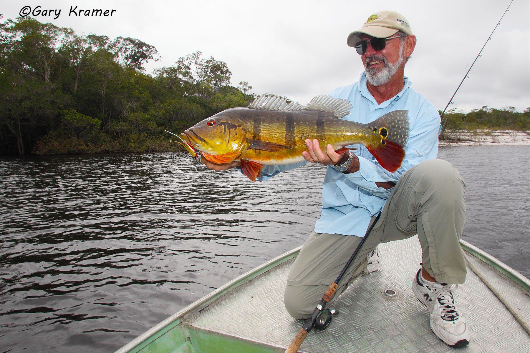 Angler (Dan Hacker) w/ Peacock Bass Angler (Dan Hacker) w/ Peacock Bass, Bolivia - SFPw#058d