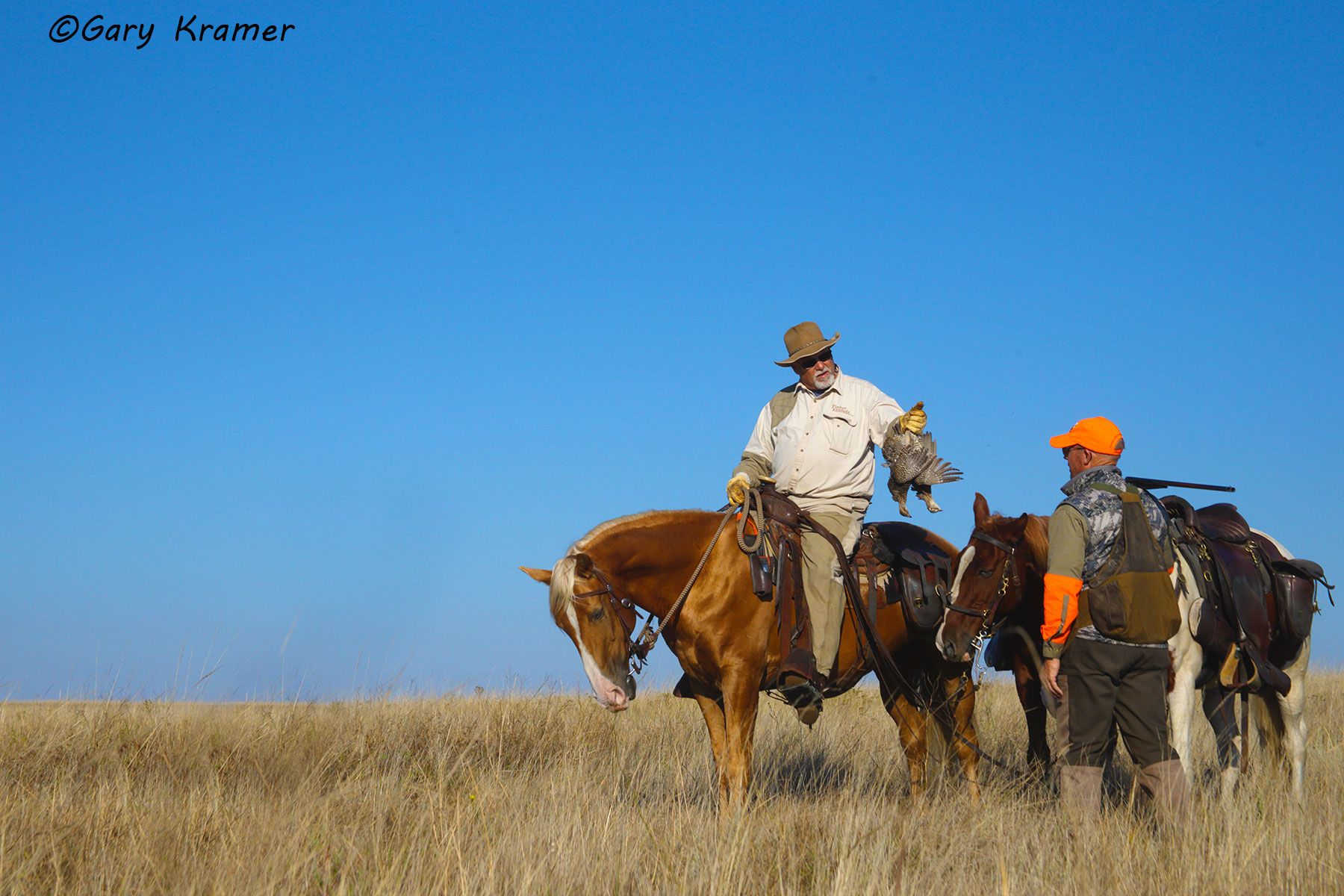 Bird hunter(s) on horseback w/Greater Prairie Chicken Hunter on horseback w/Greater Prairie Chicken - NHHpc#029d