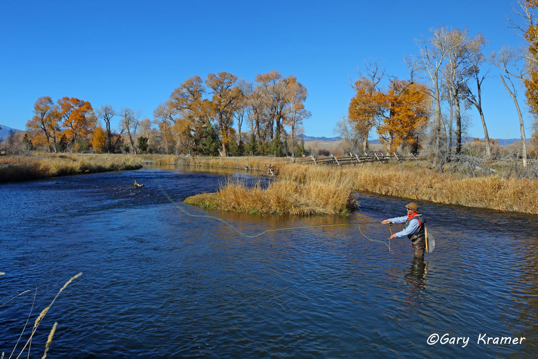 Flyfishing for Trout - NFT#246d
