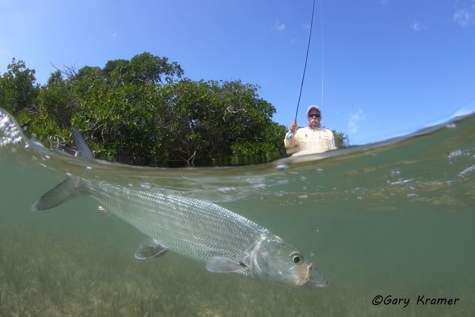 Flyfisherman (Alan Sands) w/Bonefish, Mexico - NFBw#133d