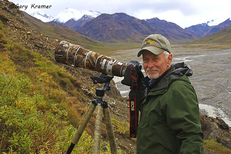 Wildlife - Gary Kramer Photographer / Writer