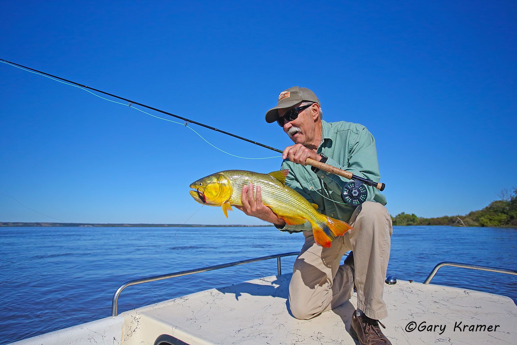 Fly Fisherman (Alan Sands) w/Golden Dorado, Argentina/Uruguay Flyfisherman (Alan Sands) w/Golden Dorado, Argentina - SFDw#143d