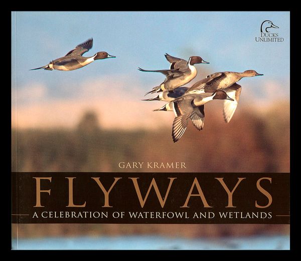 Flyways-1.jpg