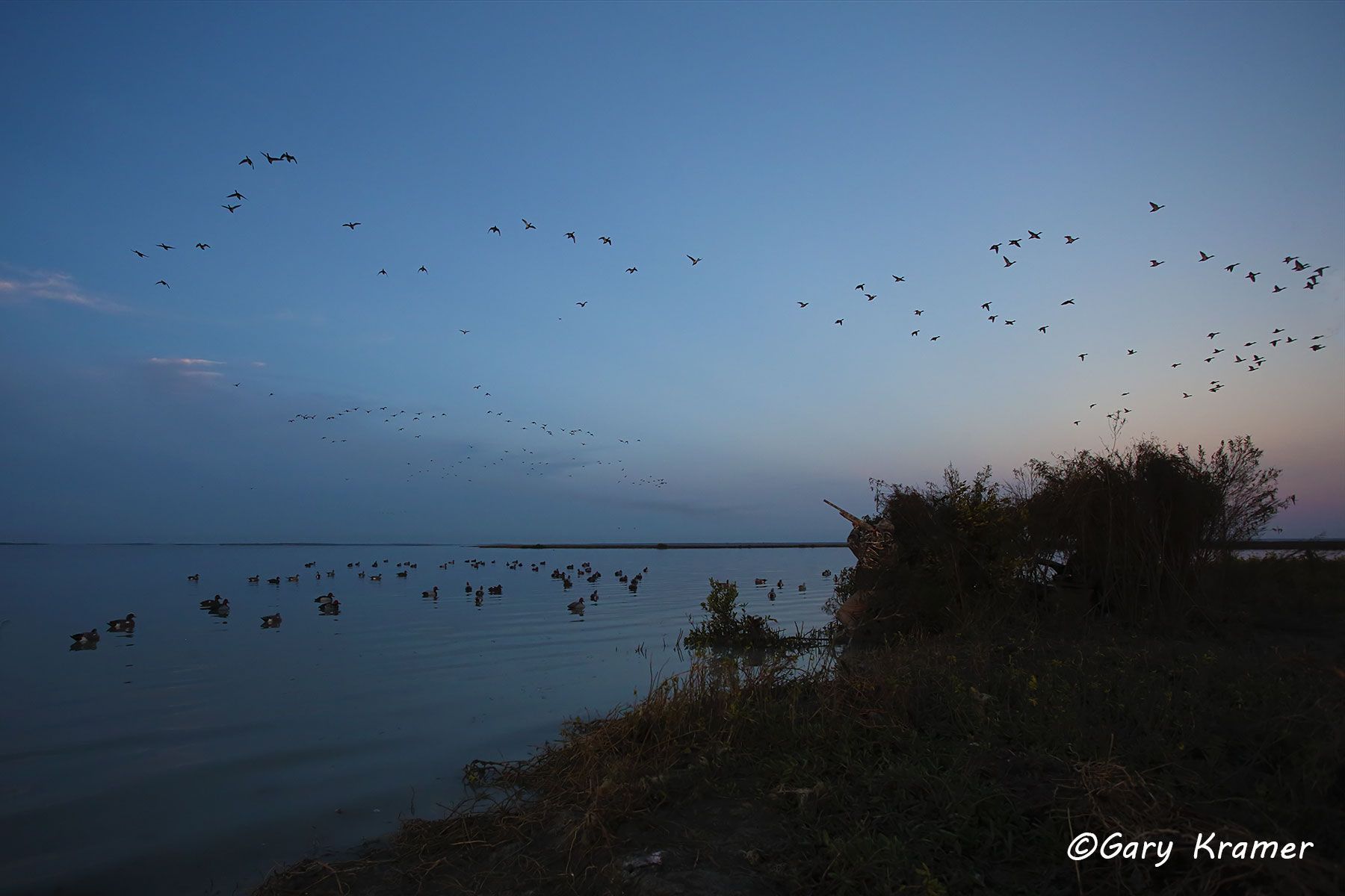 Hunter(s) at sunrise/sunset shooting at ducks over decoys - NHDsdd#459d