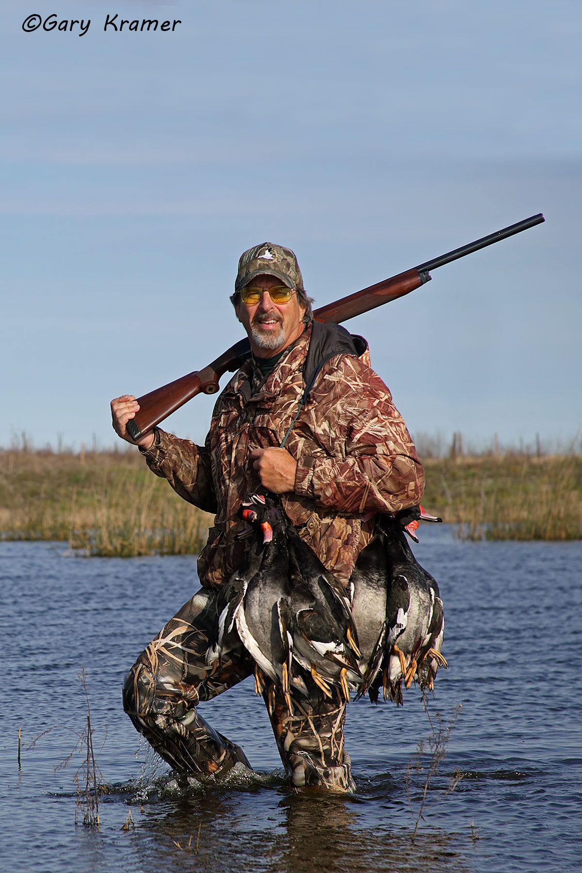 Hunter (Greg Mensik) w/Rosy-billed Pochard(s), Argentina Hunter (Greg Mensik) w/Rosy-billed Pochards, Argentina - SHDp#100d(2)