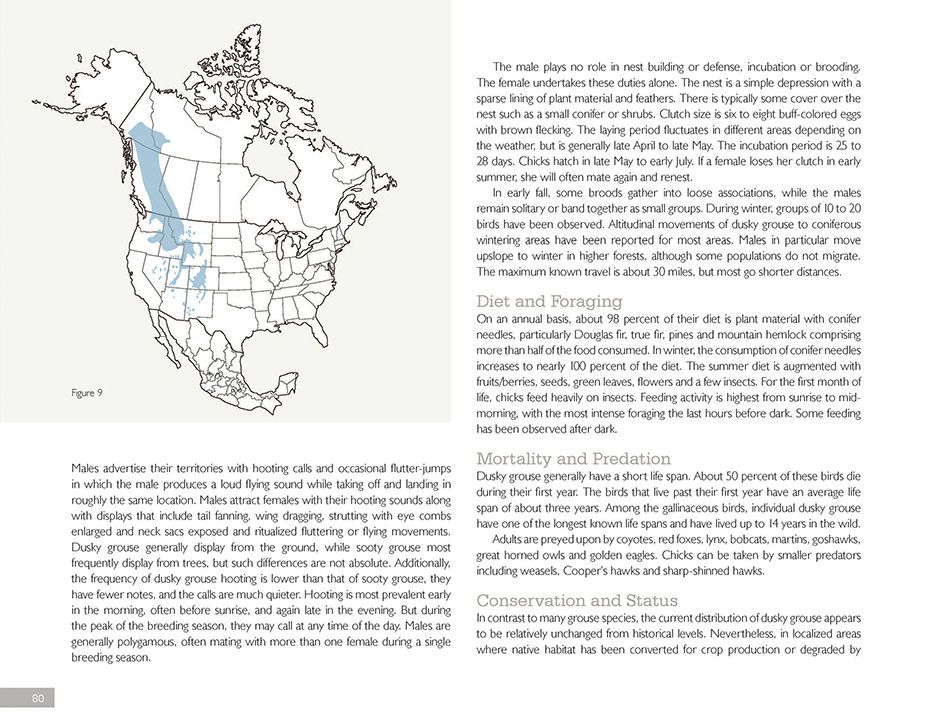 1r5_dusky_grouse_page_2asm.jpg
