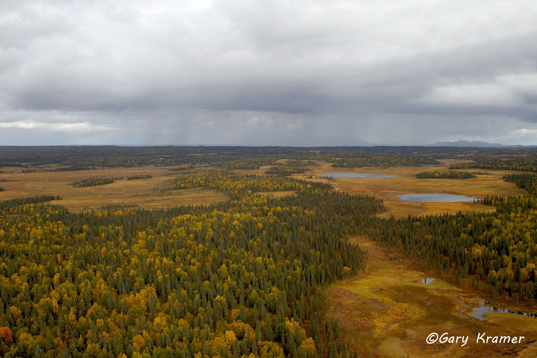 Boreal Forest/Aspen/Tundra/Wetlands (aerial), Alaska Boreal Forest/Aspen/Tundra/Wetlands (aerial), Alaska - NSAatw#004d